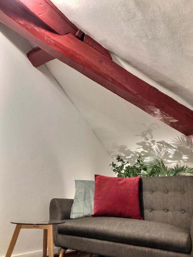 Wonderhost, Au Calme En Hypercentre Avec Parking Daire Pau Dış mekan fotoğraf